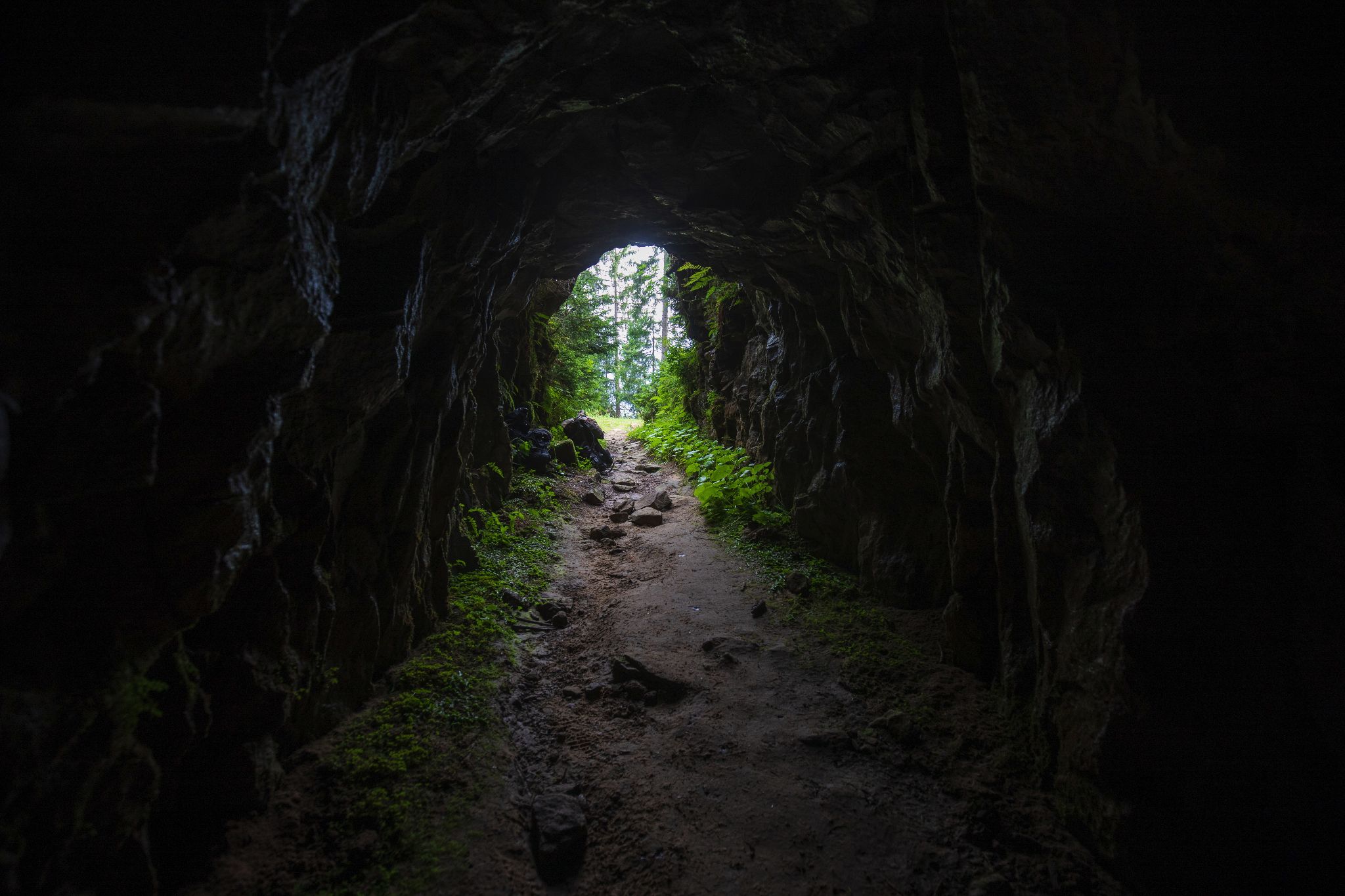 Weg ins Grün